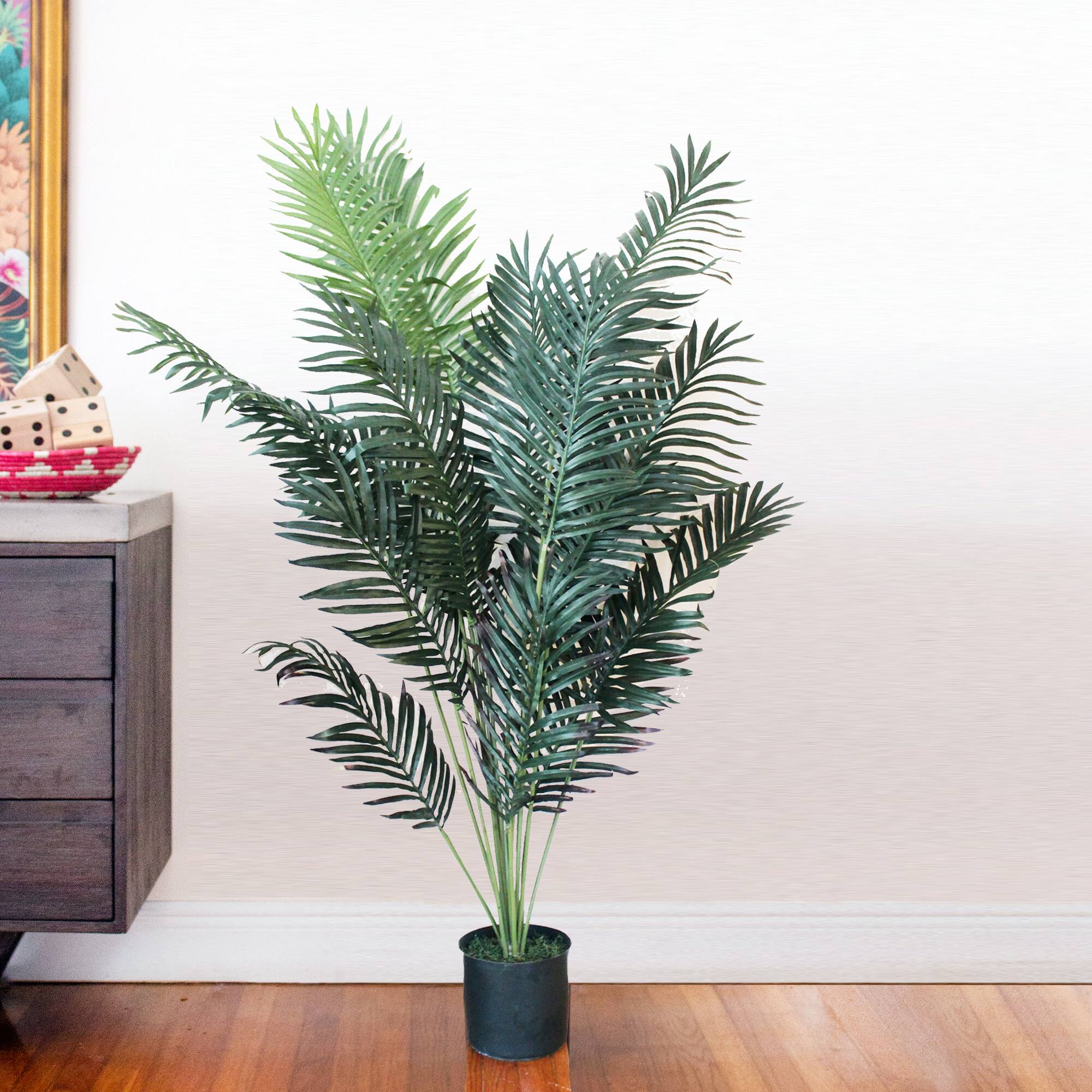 5ft. Potted Paradise Palm